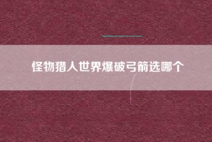 怪物猎人世界爆破弓箭选哪个