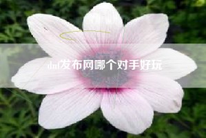 dnf发布网哪个对手好玩