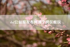 dnf公益服发布网哪个跨区能玩