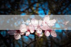dnf奶系刷哪个图