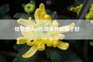 怪物猎人ol传奇珠升级哪个好