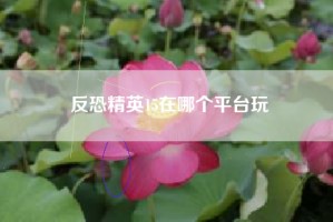 反恐精英15在哪个平台玩