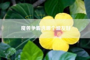 魔兽争霸选哪个盟友好