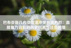 巴布亚新几内亚部落冲突愈演愈烈：血腥暴力背后的历史纠葛与社会困境