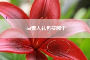 dnf雪人礼包买哪个