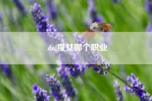 dnf魔女哪个职业