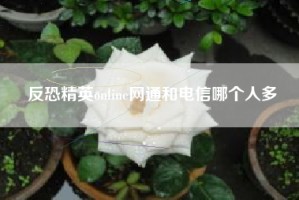 反恐精英online网通和电信哪个人多