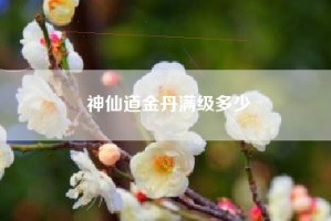 神仙道金丹满级多少
