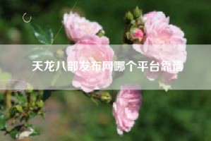 天龙八部发布网哪个平台靠谱