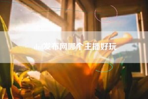 dnf发布网哪个主播好玩