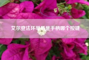 艾尔登法环举盾是手柄哪个按键