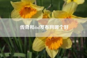 传奇和dnf发布网哪个好
