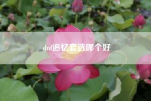 dnf追忆套选哪个好