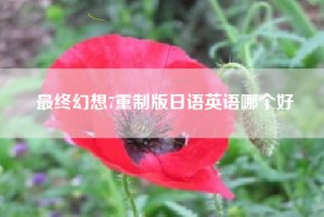 最终幻想7重制版日语英语哪个好
