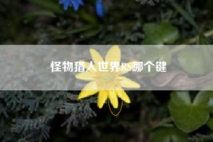 怪物猎人世界RS哪个键
