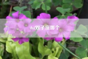 dnf双子座哪个