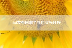 dnf发布网哪个礼包买光环好
