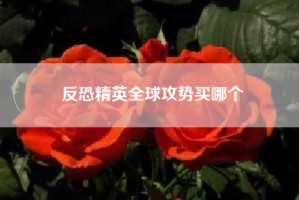 反恐精英全球攻势买哪个