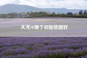 天龙SF哪个初始地图好