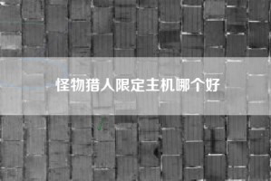 怪物猎人限定主机哪个好