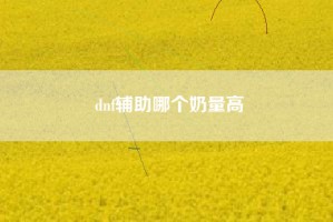 dnf辅助哪个奶量高