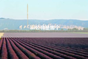 dnf公司是哪个