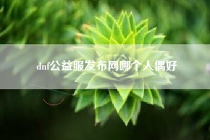 dnf公益服发布网哪个人偶好