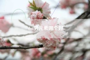 dnf男元素哪个好