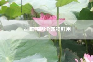 dnf增幅哪个宠物好用