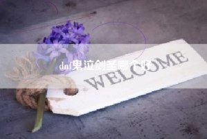dnf鬼泣剑圣哪个好