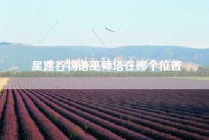 星露谷物语巫师塔在哪个位置