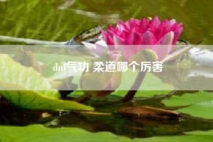 dnf气功 柔道哪个厉害