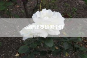 dnf新出英雄哪个好