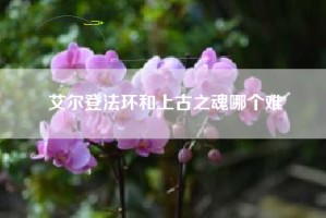 艾尔登法环和上古之魂哪个难