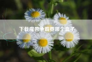 下载魔兽争霸要哪个盒子