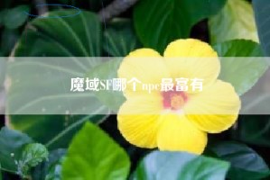 魔域SF哪个npc最富有