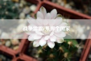 战争雷霆e系哪个国家