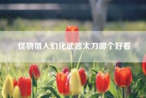 怪物猎人幻化武器太刀哪个好看
