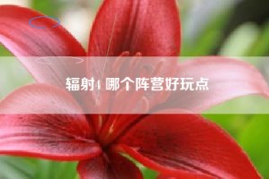 辐射4 哪个阵营好玩点