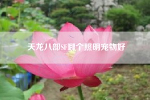 天龙八部SF哪个照明宠物好