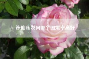 诛仙私发网哪个图爆率高好