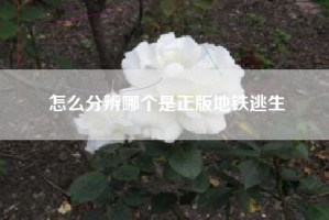 怎么分辨哪个是正版地铁逃生