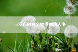 dnf发布网哪个频道酒馆人多