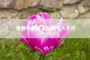 魔兽争霸新人玩哪个入手好