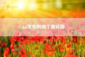 dnf发布网哪个循环图