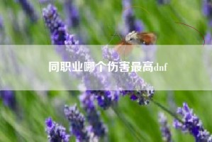 同职业哪个伤害最高dnf