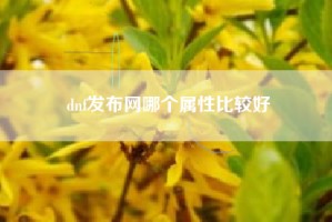 dnf发布网哪个属性比较好