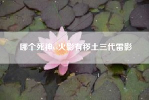 哪个死神vs火影有秽土三代雷影