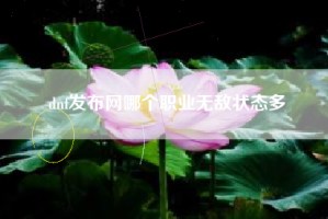 dnf发布网哪个职业无敌状态多