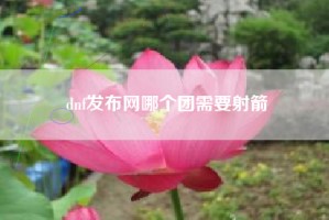 dnf发布网哪个团需要射箭